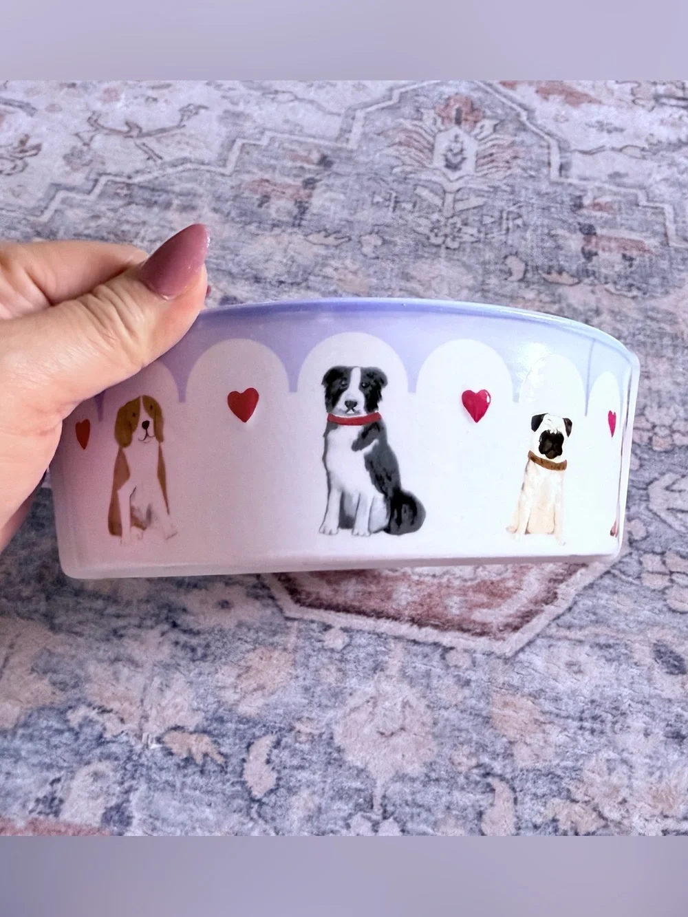 Harvest Green Studio Cream & Lavender Dog Bowl with Red Heart Accents